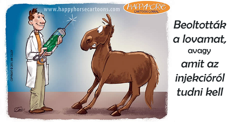 Kép forrása: Happy Horse Cartoon Corral